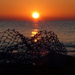 fishing-2822488_960_720.jpg
